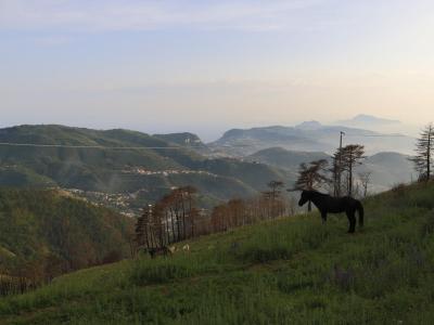 stabiahotel en excursion-to-monte-faito 024