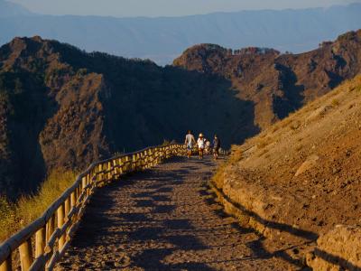 stabiahotel en excursion-to-the-great-cone-of-vesuvius 024